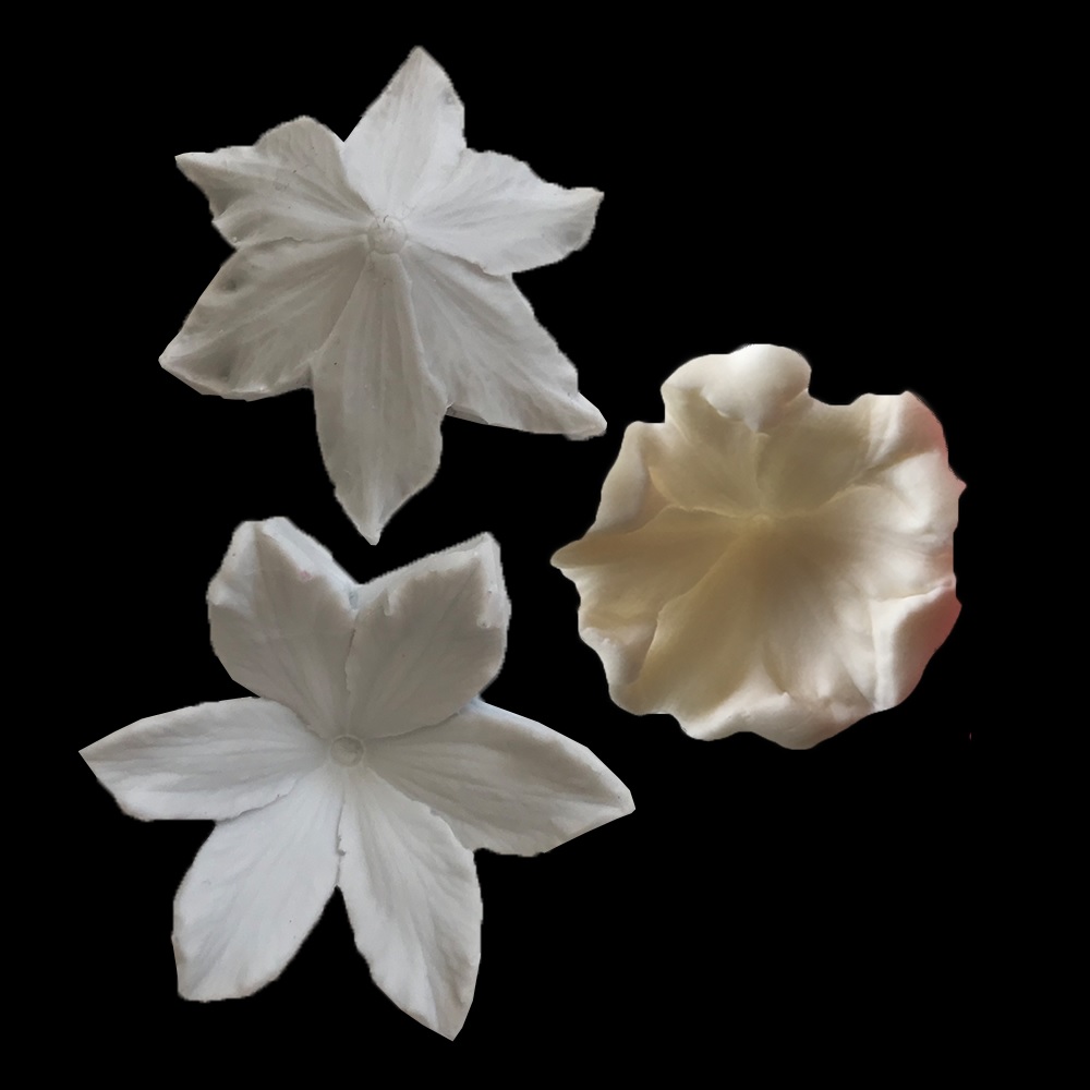 Obrázek k výrobku 24365 - Cesil Silikonová forma žilkovač kvet (2ks)