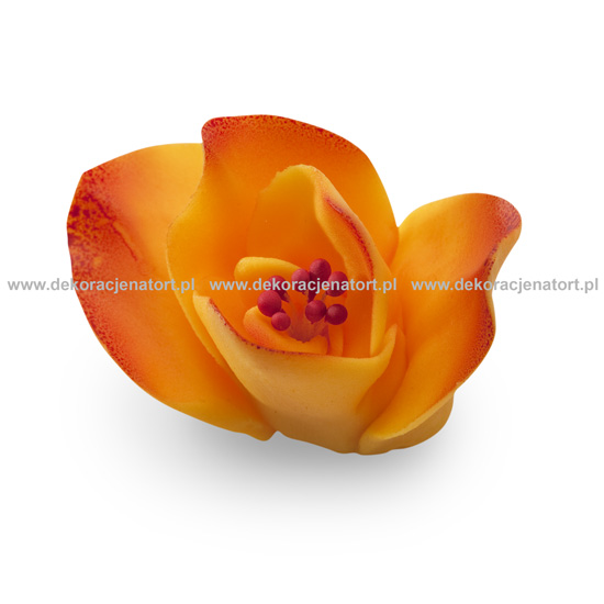 Obrázek k výrobku Cukrová dekorace Frézie oranžové (20 ks)