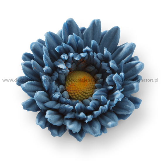 Obrázek k výrobku Cukrová dekorace Gerbery tmavě modré (12 ks)