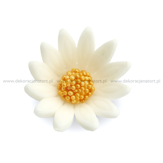 Obrázek k výrobku Cukrová dekorace Kopretiny malé bílé (40 ks)