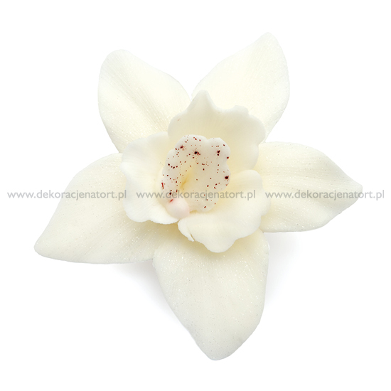 Obrázek k výrobku Cukrová dekorace Orchideje bílé (10 ks)
