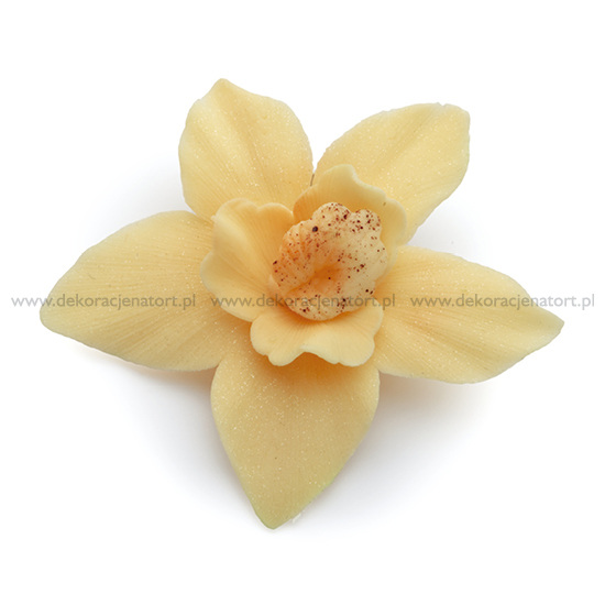 Obrázek k výrobku Cukrová dekorace Orchideje ecru (10 ks)