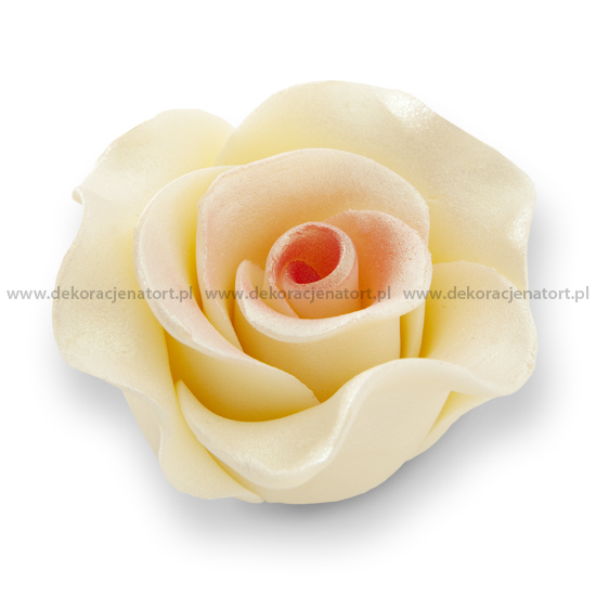 Obrázek k výrobku Cukrová dekorace Růže velké zlato-růžové perleťové (12 ks)