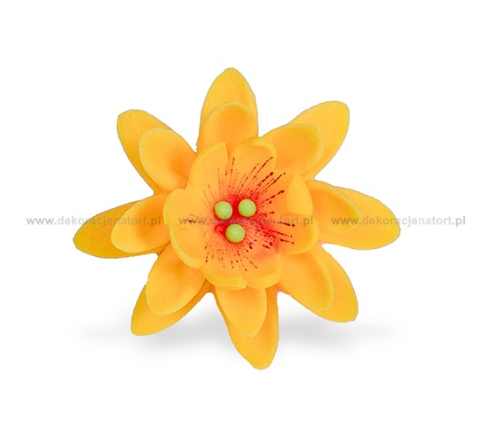 Obrázek k výrobku 23402 - Cukrová dekorácia Lekno žlté (20ks)