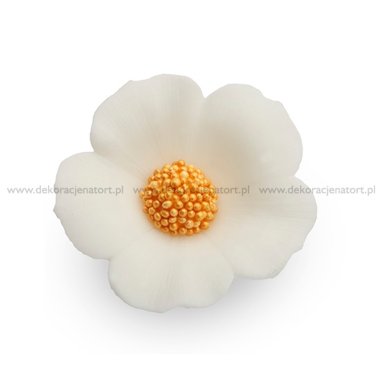 Obrázek k výrobku 23404 - Cukrová dekorácia Macoška veľká biela (40ks)