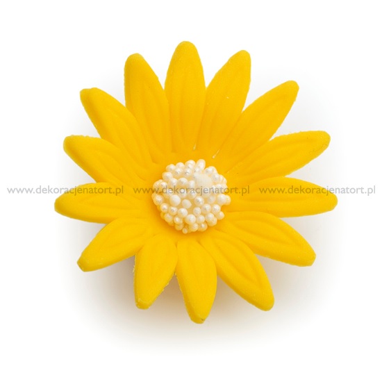 Obrázek k výrobku 23398 - Cukrová dekorácia Margarétka stredná žltá (40ks)