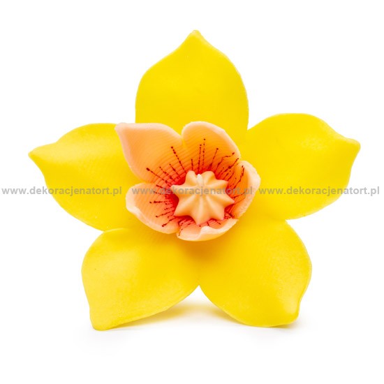 Obrázek k výrobku 21610 - Cukrová dekorácia Narcis žltý (20 ks)