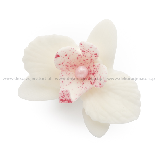 Obrázek k výrobku 17259 - Cukrová dekorácia Orchidea malá biela (20ks)