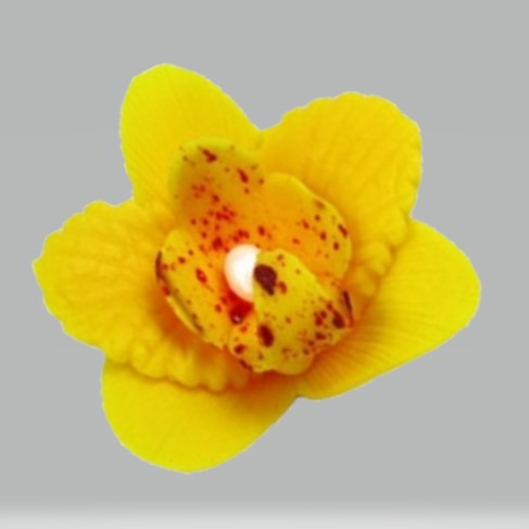 Obrázek k výrobku 17260 - Cukrová dekorácia Orchidea malá žltá (20 ks)
