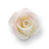Obrázek k výrobku 17225 - Cukrová dekorácia Ruža biela tieňovaná do ružova malá (20ks)