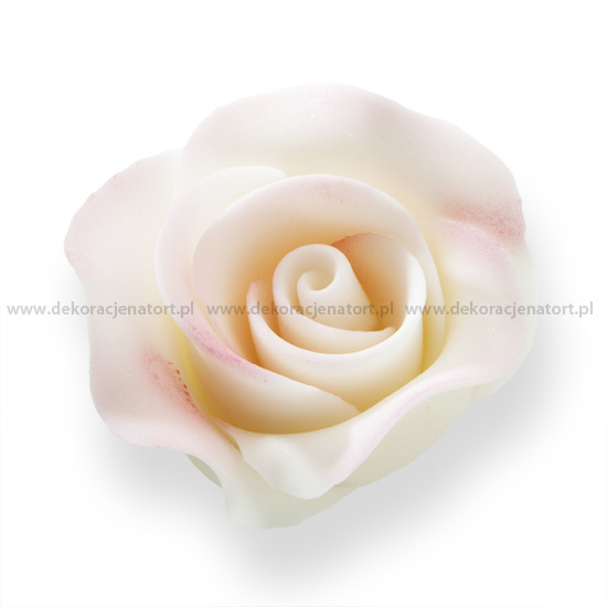 Obrázek k výrobku 17392 - Cukrová dekorácia Ruža bielo-ružovo tieňovaná 16ks