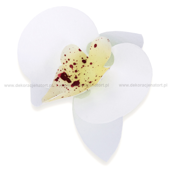 Obrázek k výrobku Dekorace z jedlého papíru Orchideje bílé (12 ks) Neposíláme v balících!1