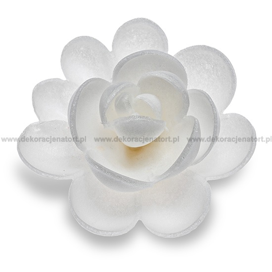 Obrázek k výrobku 24182 - Dekorácia z jedlého papiera Ruža biela veľká (20ks)