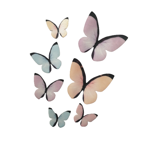 Obrázek k výrobku 21889 - Liana Oblátkový motýl pastelový -rôzne rozmery a farby(3 ks)
