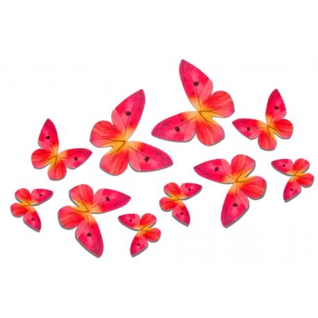 Obrázek k výrobku 20495 - Liana Oblátkový motýl ružový (3 ks)