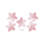 Obrázek k výrobku 27048 - Mini oblátkové kvety ružová farba (2cm) 50ks