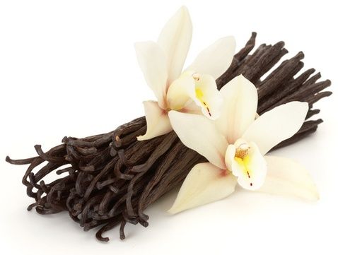 Obrázek k výrobku Ochucovací pasta Joypaste Madagaskarská vanilka/Burbon (200 g)