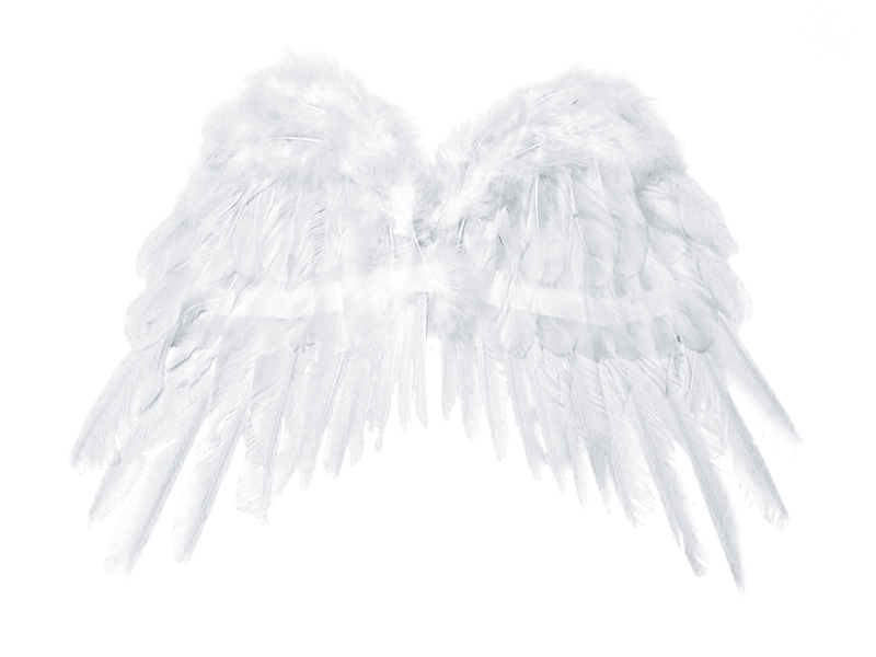 Obrázek k výrobku 20995 - Partydeco Anjelské krídla biele