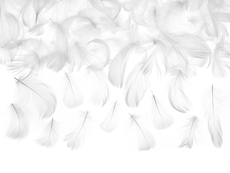 Obrázek k výrobku 22201 - Partydeco Dekoratívne perá  biele (3 g)