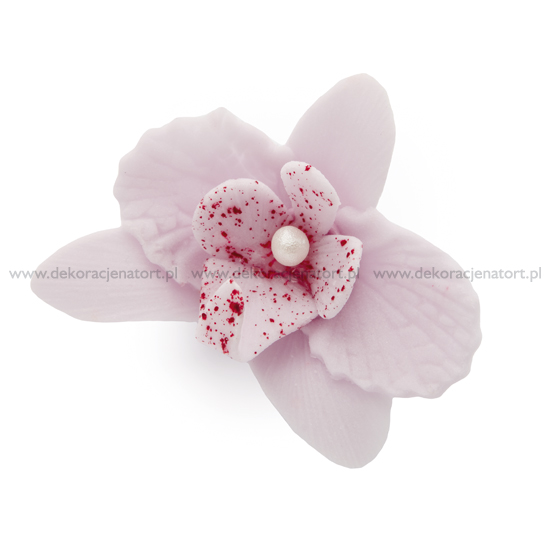 Obrázek k výrobku 16127 - SLEVA 25%! Cukrová dekorace Orchideje malé fialové (20 ks) Neposíláme v balících!