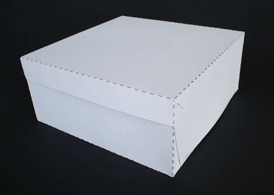 Obrázek k výrobku 16667 - Tortová krabica biela 20x20x10cm