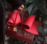 Obrázek k výrobku 26805 - Elegantný univerzálny box s mašľou červený (35 x 21 x 16,5 cm)