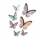 Detail k výrobkuLiana Oblátkový motýl pastelový -rôzne rozmery a farby(3 ks)
