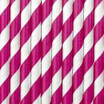 Detail k výrobkuPartyDeco Papierové slamky tmavo-ružové pruhy (10 ks)