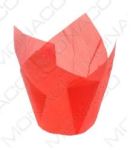 Detail k výrobkuTulipán papierový na Muffiny 50mm červený/180ks/bal